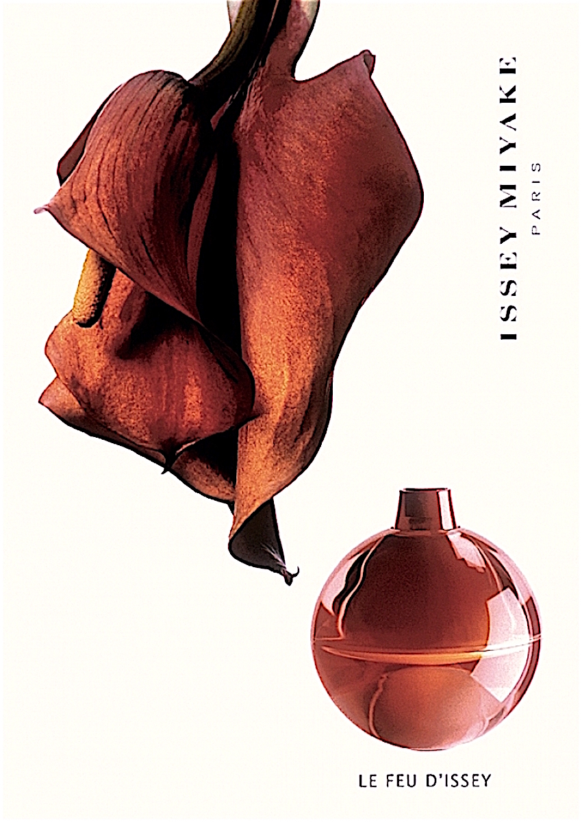 LE FEU DISSEY (1998) + A DROP DISSEY by ISSEY MIYAKE (2021) The Black Narcissus photo photo